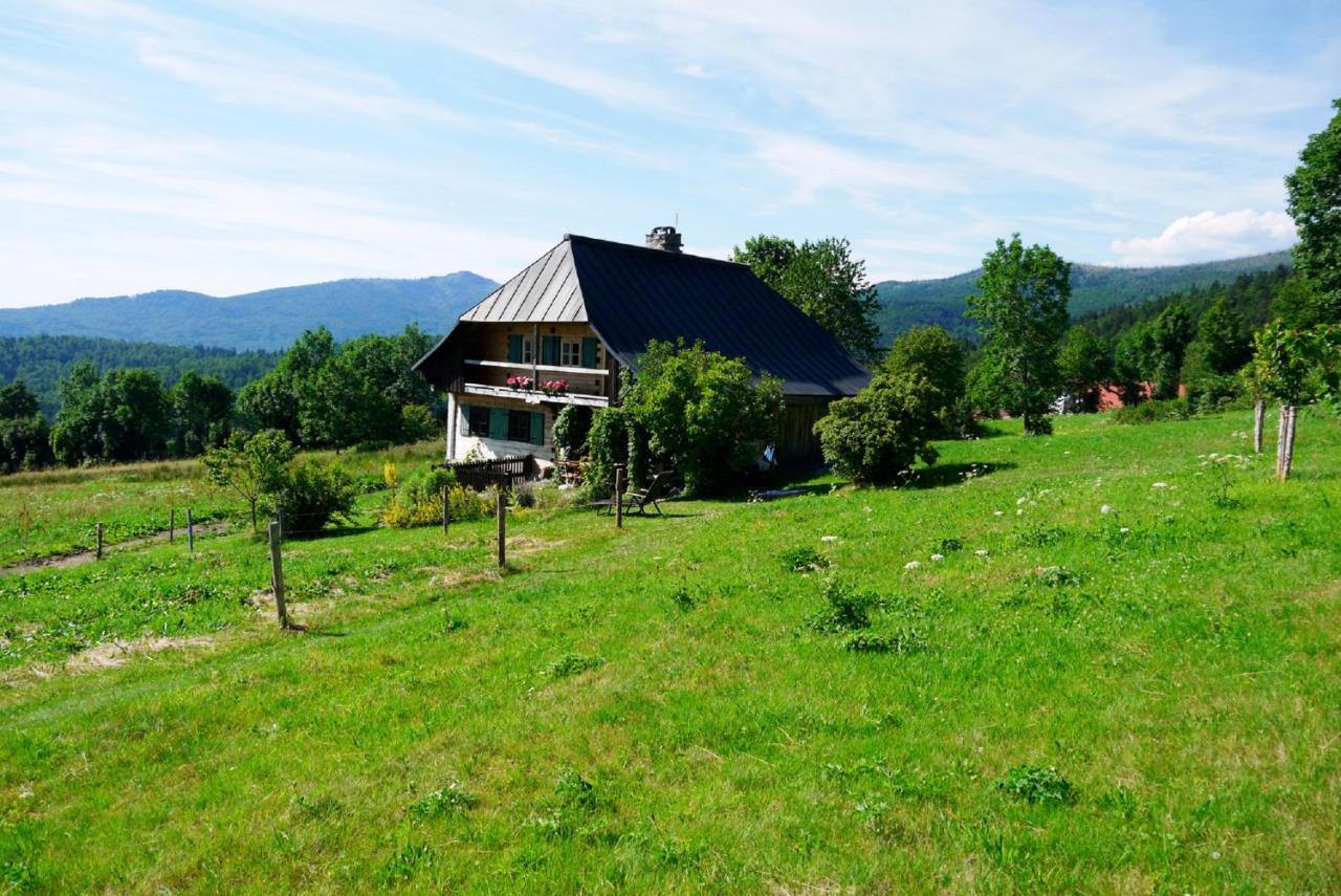 Pension Draxlerhof Neuschönau Exterior foto